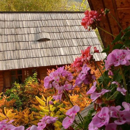 Woodenhouse Maramures Vişeu de Sus Exterior foto