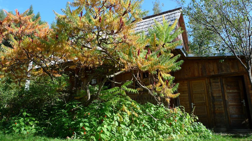 Woodenhouse Maramures Vişeu de Sus Exterior foto