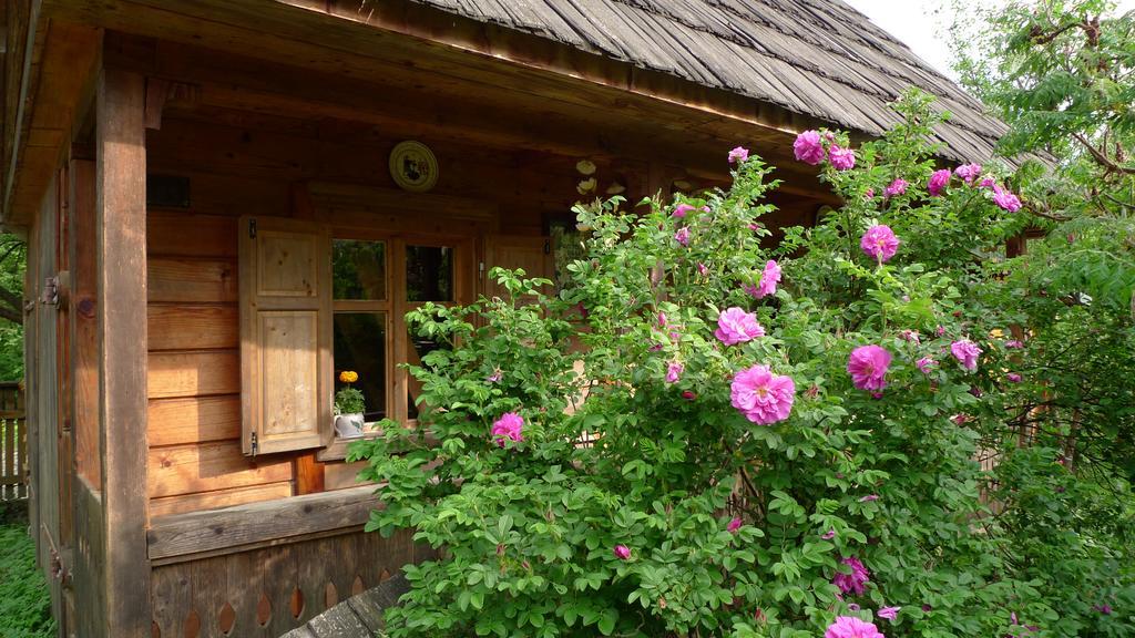 Woodenhouse Maramures Vişeu de Sus Exterior foto